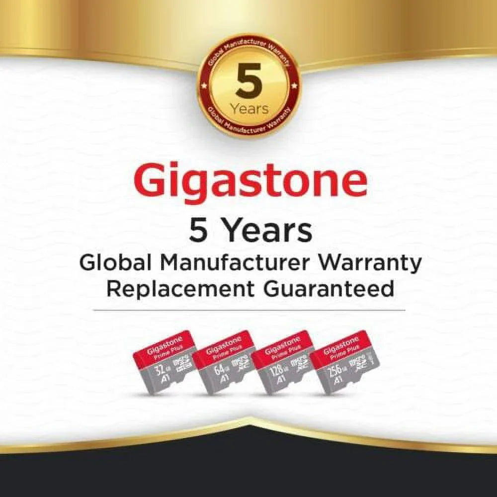 Gigastone 256GB Micro SD Card, Switch / GoPro appropriate Memory Card, UHS-I SDXC