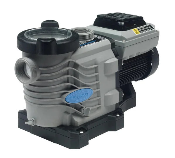 Blue Torrent 3  Variable Speed Swimming Pool Pump with 2" Unions, Adjustable Stand for Retrofit 3yr Warranty